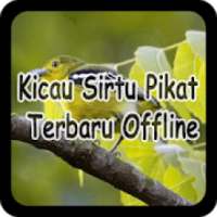 Kicau Sirtu Pikat Terbaru Offline on 9Apps