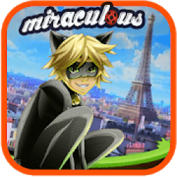 ikon Cat Noir Car Miraculous Racing