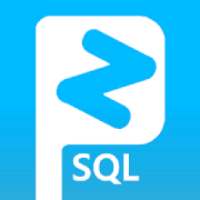 Learn SQL Prozram