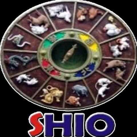 Kelahiran Menurut Shio Zodiak screenshot 1