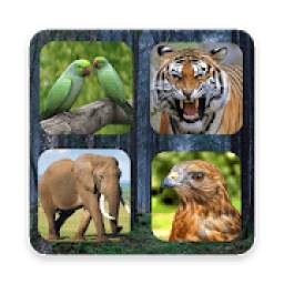 Animals and Birds Sounds 1.0