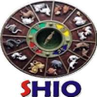 Kelahiran Menurut Shio Zodiak on 9Apps
