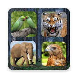 ikon Hewan Liar &amp; Suara Burung