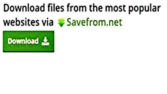 Save From Net screenshot 1