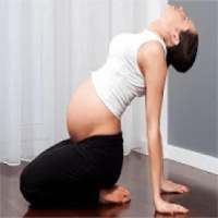 Pregnancy Exercises