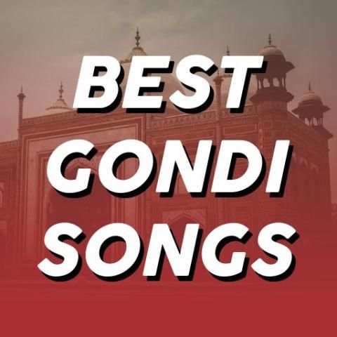 Best Gondi Songs screenshot 4