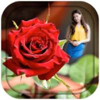 Red Rose Photo Frames on 9Apps