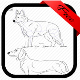 Drawing tutorials: DOG icon