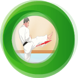 Learn Taekwondo Techniques icon