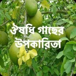 ঔষধি গাছের উপকারিতা - Medicinal Plant & রোগ নিরাময়