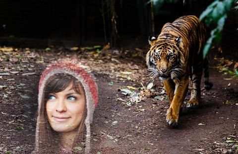 Tiger Photo Frames स्क्रीनशॉट 3