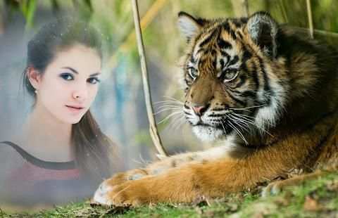Tiger Photo Frames स्क्रीनशॉट 4
