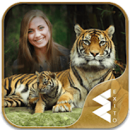Tiger Photo Frames आइकन