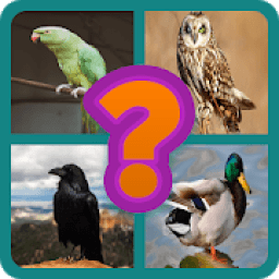 ikon Bird Name Quiz