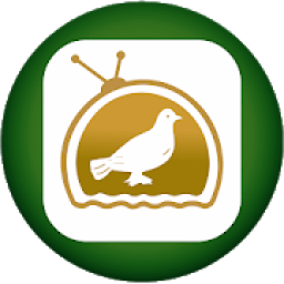 SIASAT TV आइकन