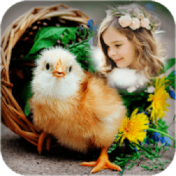 Birds Photo Frames icon