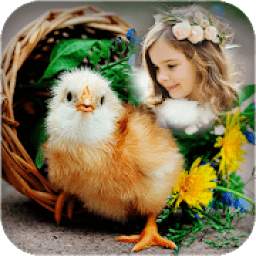Birds Photo Frames 1.0