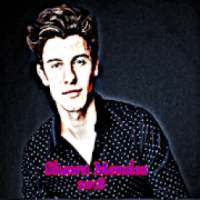 Shawn Mendes All Songs on 9Apps