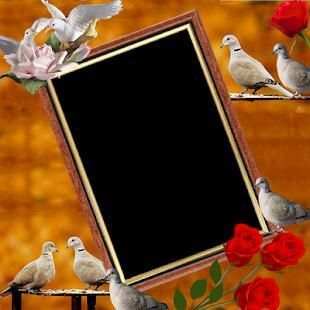 Dove Insta DP स्क्रीनशॉट 2
