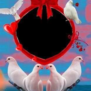 Dove Insta DP स्क्रीनशॉट 1