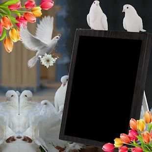 Dove Insta DP स्क्रीनशॉट 3