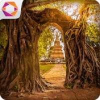 Escape Puzzle: Temple Escape