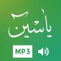 Surah Yasin Mp3 - Multiple Translations on 9Apps