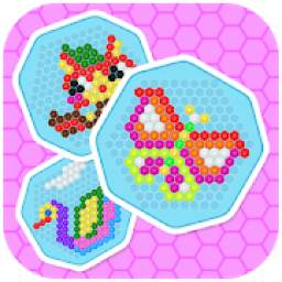 Mosaic Hex Puzzle 2: Hexagon Photo Match