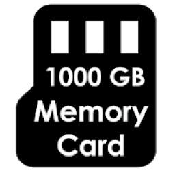 1000GB Memory Card