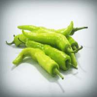 Green Chilli For Health