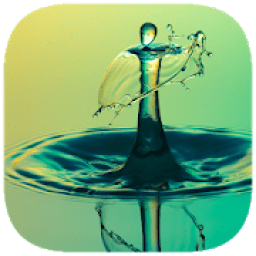 ikon 135 Photo Crosswords