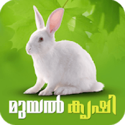 ikon Rabbit Farming Malayalam