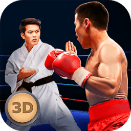 ikon Real Kung Fu Fight Champion