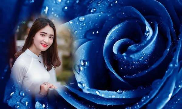 Blue rose photo frames screenshot 4