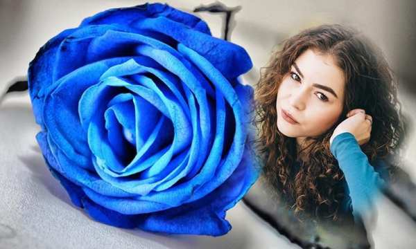 Blue rose photo frames screenshot 3