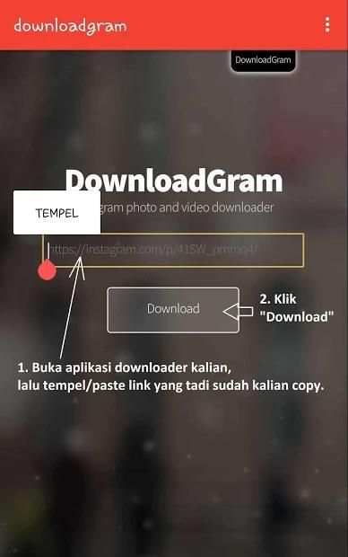 downloadgram 2 تصوير الشاشة