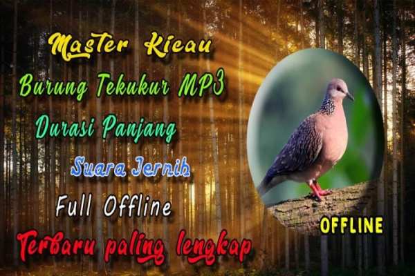 Suara Burung Tekukur Pikat 1 تصوير الشاشة