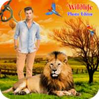 Wild Life Photo Editor