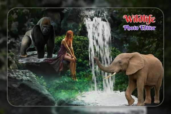 Wild Life Photo Editor screenshot 1