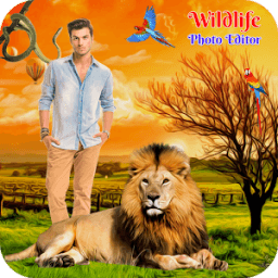 ikon Wild Life Photo Editor