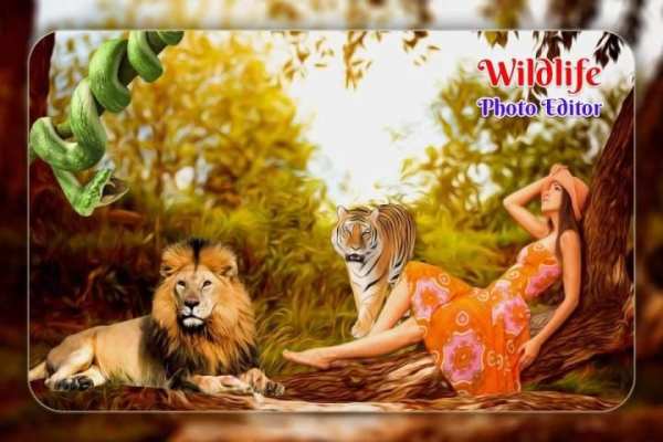 Wild Life Photo Editor screenshot 7