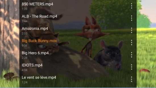 Fusion Player screenshot 1