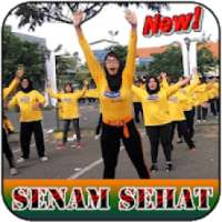 Senam Sehat Jasmani 2018