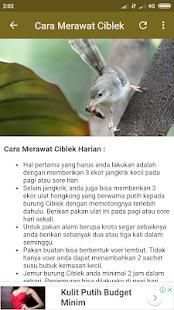 Suara Burung Ciblek Pikat screenshot 1