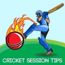 Cricket Session Tips