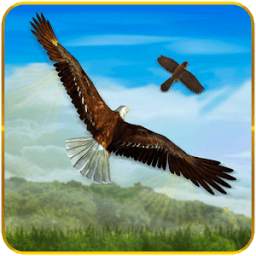 Bird Chase Mania: Eagle Hunt Endless Flying 3D