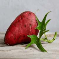 Sweet Potato For Health on 9Apps