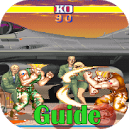 ikon It is Guide for Street Fighter (SF)