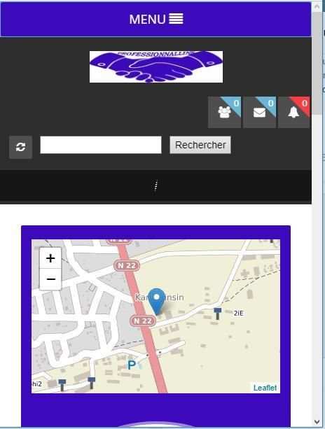 Professionnallink screenshot 2