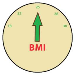 BMI Calculator